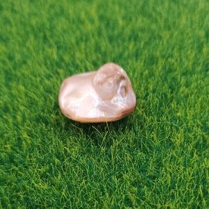 Camel Mother Of‎ Pearl Bead P319